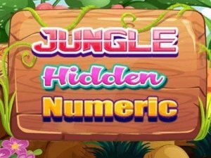 Hidden Digits in the Wild