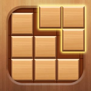 Wood Block Puzzle Game