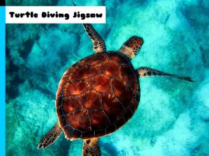 Turtle Diving Jigsaw Puzzle Game