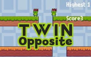 Twin Frog Puzzle Adventure