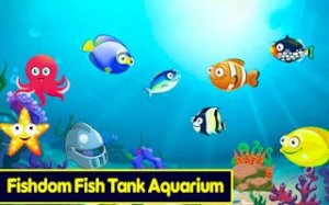 Aquatic Puzzle: Fish Tank Design