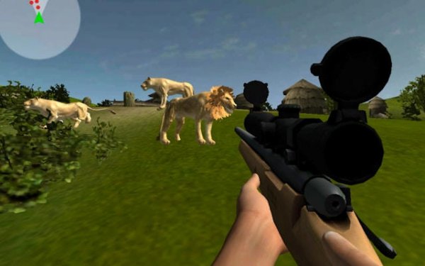 Lion Spotting 3D: Wild Safari Adventure Online Skill Game