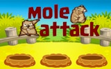 Mole Attack - Classic Arcade Whack-a-Mole Online Game