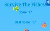 Survive The Fishes! - Dodge & Swim Online Game