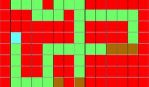 Color Path Maze Explorer