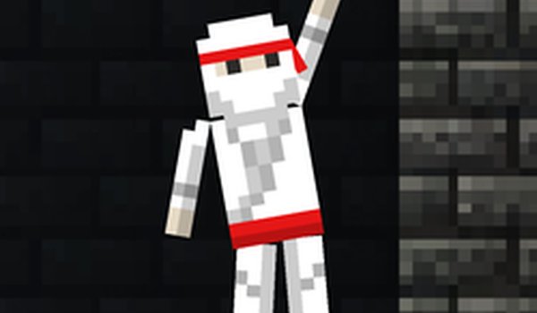 Grapple Ninja Online Game
